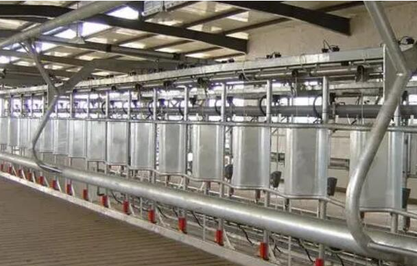 陇南钢结构 vs 传统结构:一场关于强度与速度的全面胜出!